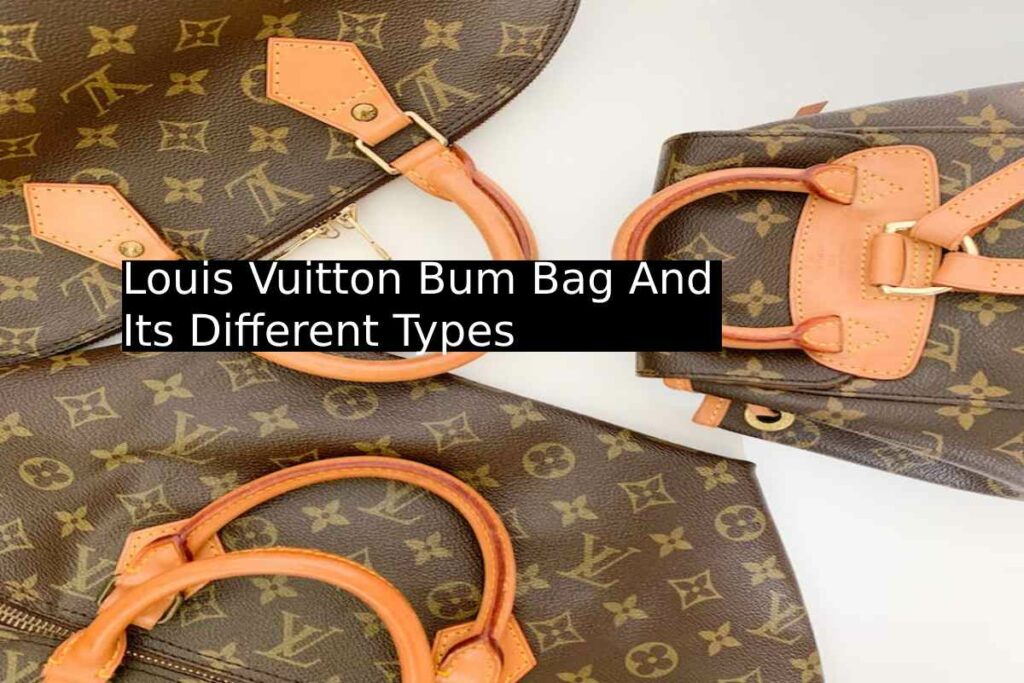 Louis Vuitton Bum Bag And Its Different Types